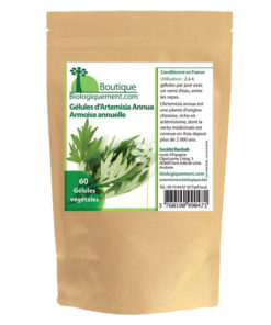 Armoise annuelle bio Artemisia annua riche en artemisinine plante feuille tige anticancer naturel en tisanes ou en gélules