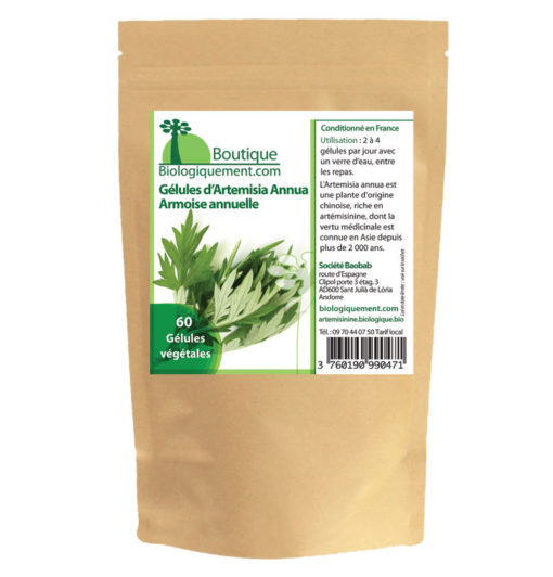 Armoise annuelle bio Artemisia annua riche en artemisinine plante feuille tige anticancer naturel en tisanes ou en gélules