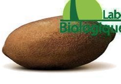 Le fruit de Baobab bio produit par Biologiquement