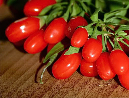 La baie de goji bio Himalaya produite par Biologiquement