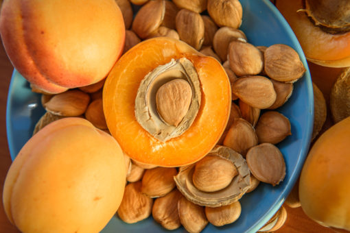 Les amandes amères d'abricots sont l’une des plus importantes sources de vitamine B17, appelée aussi laetrile ou Amygdaline, un anti-cancer naturel puissant