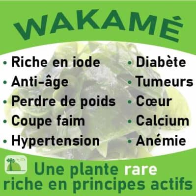 Wakamé